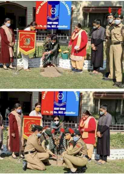 KMV’s NCC Cadets commemorates NCC Day by organising tree plantation drive