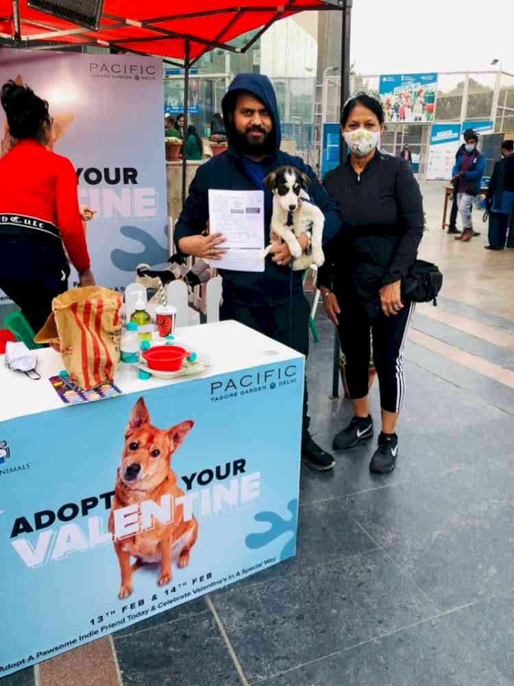 Pacific Mall Tagore Garden redefines love this Valentine’s Day with dog adoption