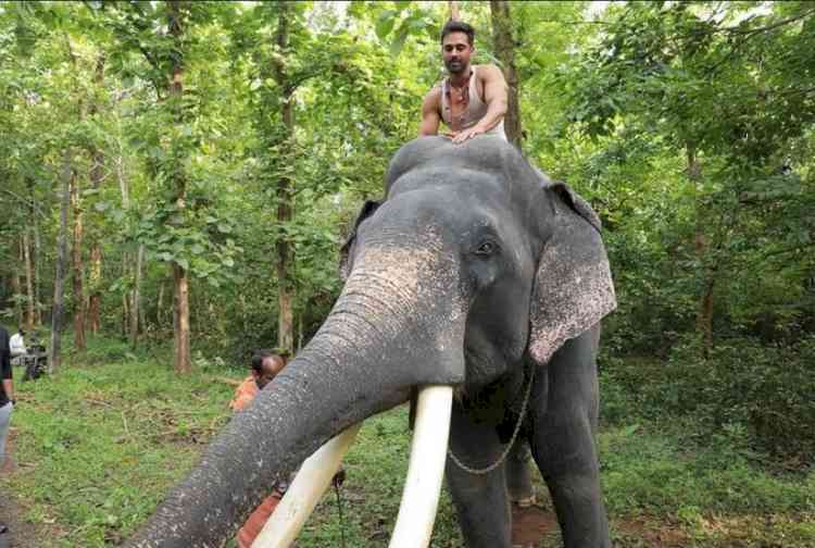 On World Wildlife Day Pulkit Samrat shares unseen images from his film upcoming Haathi Mere Saathi 