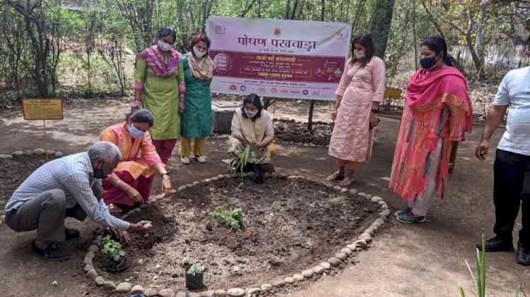 Medicinal herbs planted at Govt Home Science College to observe poshan pakhwada