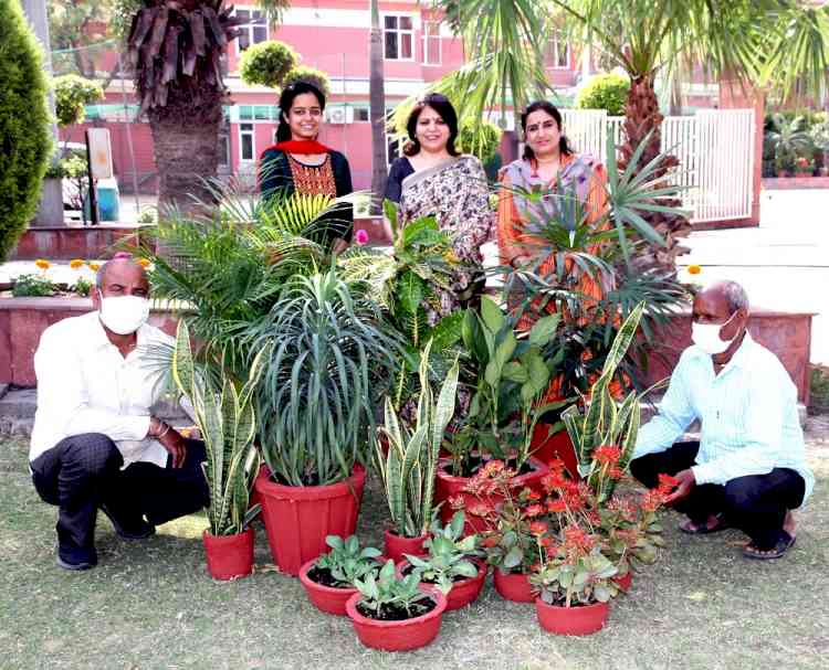 Flower Show competition organised by Virsa Vihar