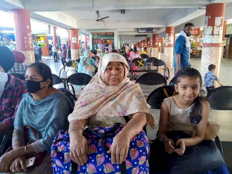 Free bus ride scheme gets big thumbs up from women