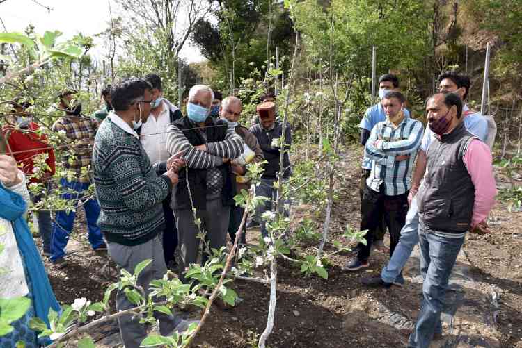 Farmers trained on insect pest management in high-density apple plantation and nursery