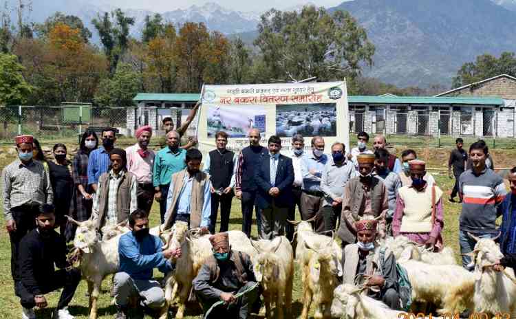 CSKHPAU to extend mobile advisory services to Gaddi farmers during migration: Vice-Chancellor