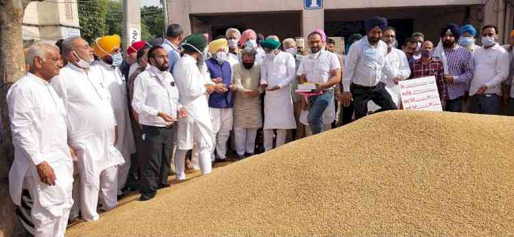 Ashu kick-starts wheat procurement in Asia’s biggest grain market at Khanna