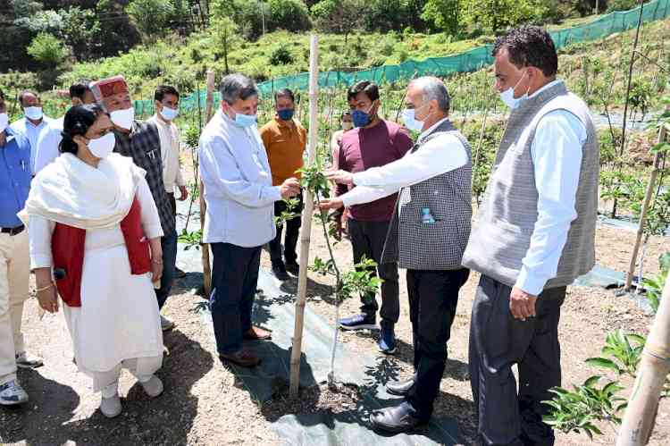 High-density apple orchard inaugurated