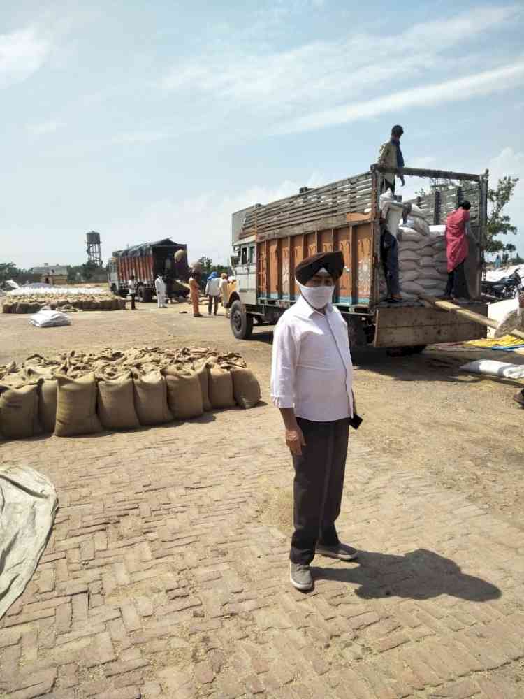 In Ludhiana, wheat procurement crosses more than halfway mark 