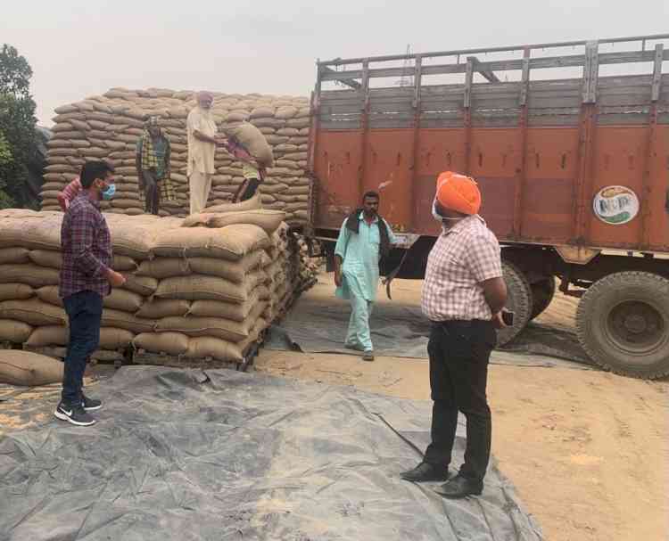 8.52 Lakh metric ton of wheat procured in Ludhiana district: DC