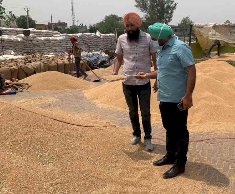 8.61 Lakh metric ton of wheat procured in Ludhiana district: DC