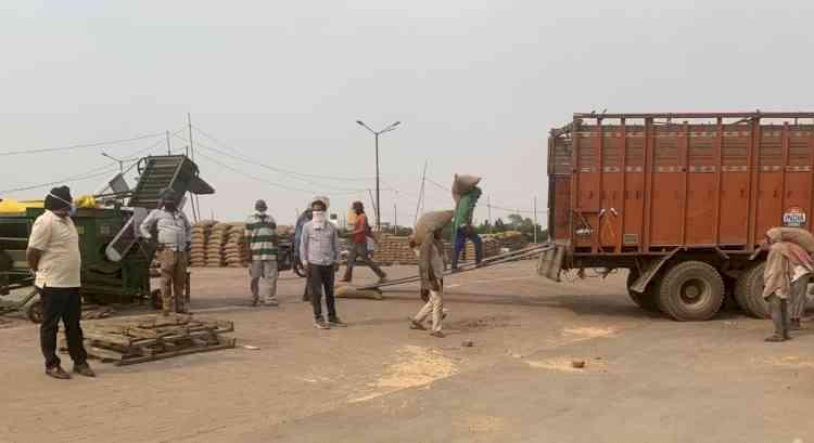 In wake of inclement weather conditions, DC directs procurement agencies to further expedite lifting of wheat