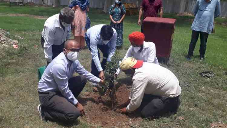 PU Library Science celebrated World Environment Day