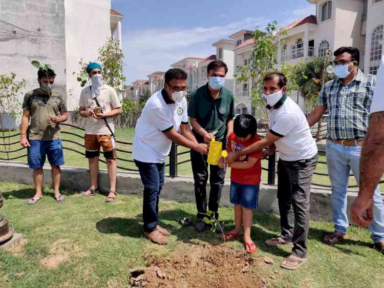 Around 5500 plants and sapling planted in and around Smart City, Mohali