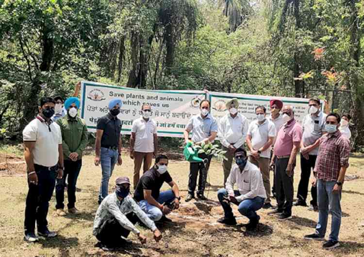 World Environment Day celebrated at Chhatbir Zoo