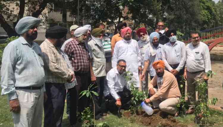 Congress workers and environmentalists plant trees at Vidhan Sabha constituency Atam Nagar and South