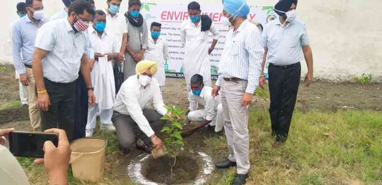 World Environment Day-CJM initiates month long plantation drive at central jail