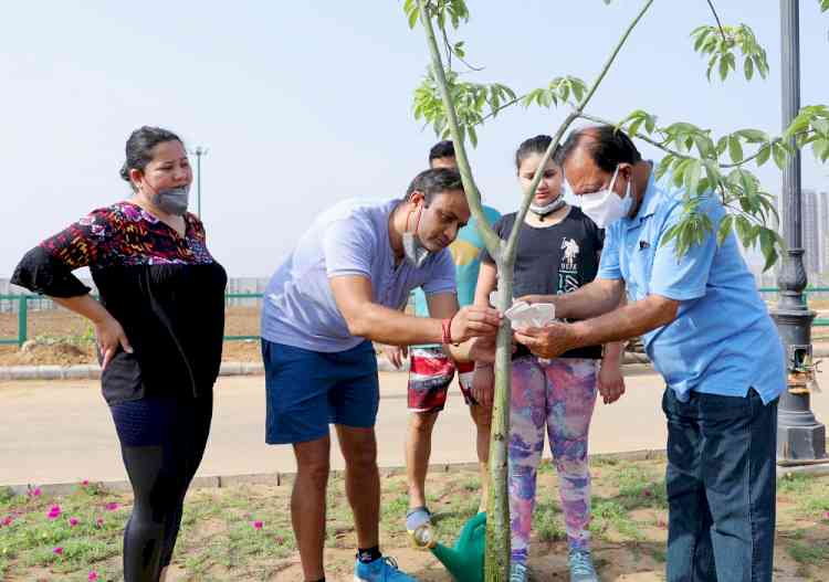 Central Park organizes plantation drive on World Environment Day