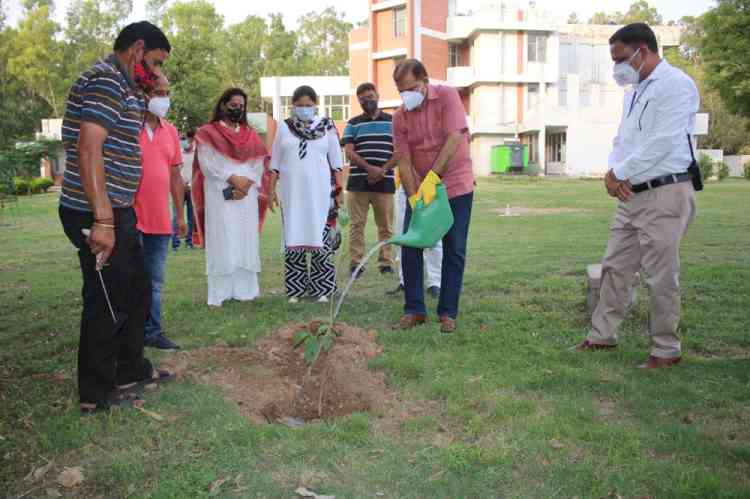 Tree plantation at PU Alumni House