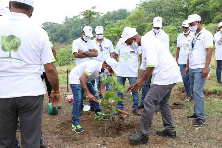 JP Infra plants over 500 trees at Sanjay Gandhi National Park
