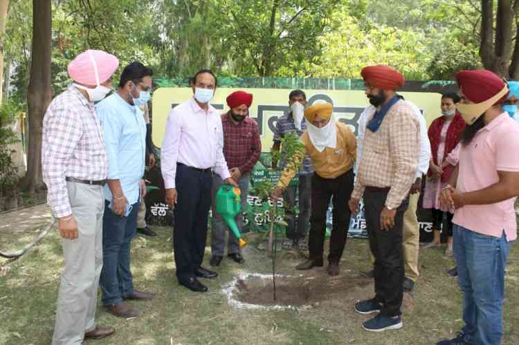 Administration gears up for massive plantation drive in Ludhiana district