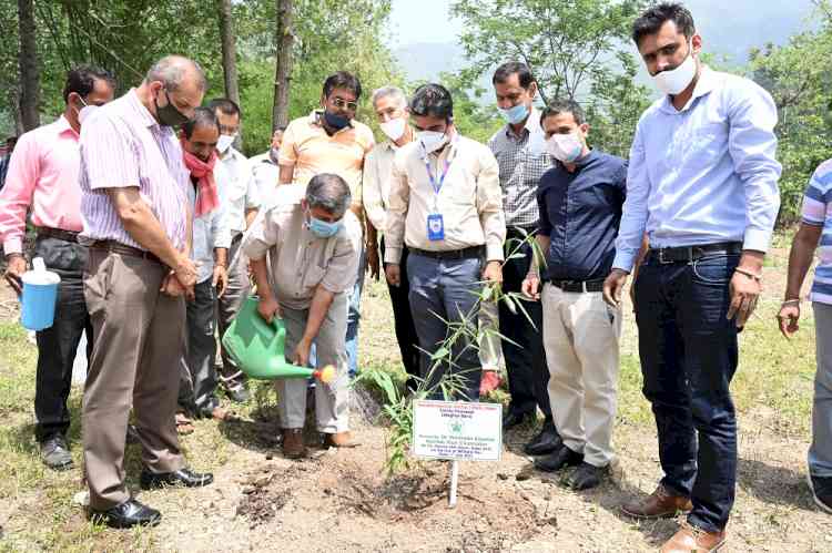 Plant location-specific tree varieties during plantation drives
