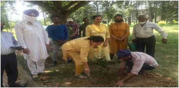 Tree Plantation Drive at PU