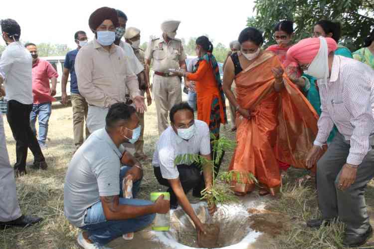 DC initiates mega plantation drive in Government College for Girls under Mission Tandarust Punjab