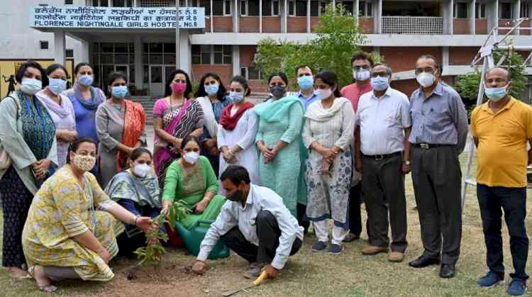 Tree plantation at PU