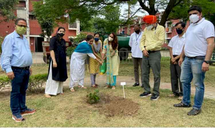 Cleanliness cum plantation drive at PU