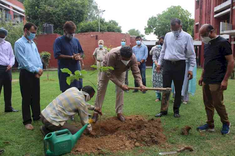 Tree plantation drive at Boys’ Hostel No. 3