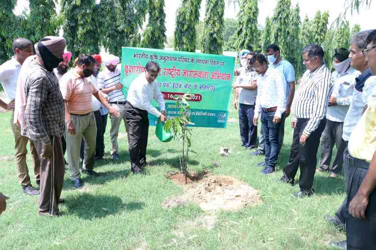 ICAR-CIPHET, Ludhiana organized plantation in Punjab on ICAR Foundation Day
