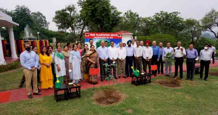 Tree plantation drive at Chandimandir