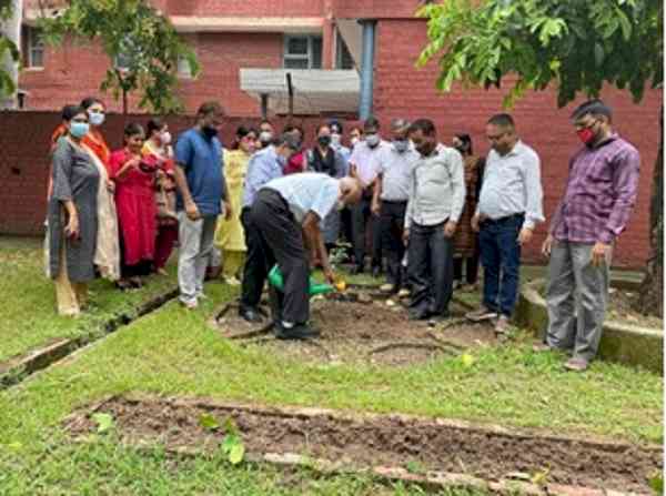 Tree plantation drive at PU