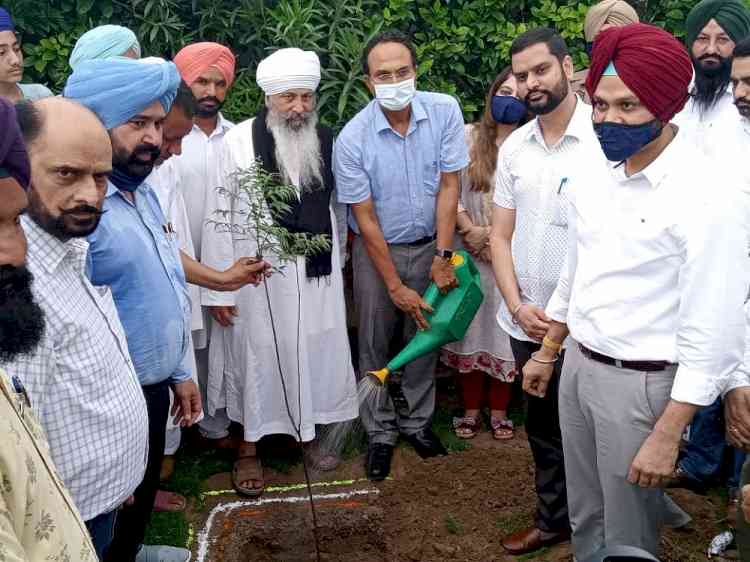 DC embarks special plantation drive at Jagraon 