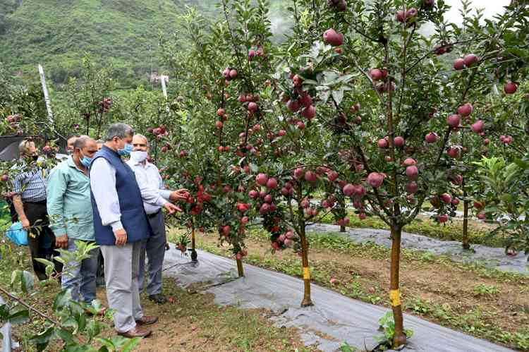 Farmers apprised about high density apple plantation
