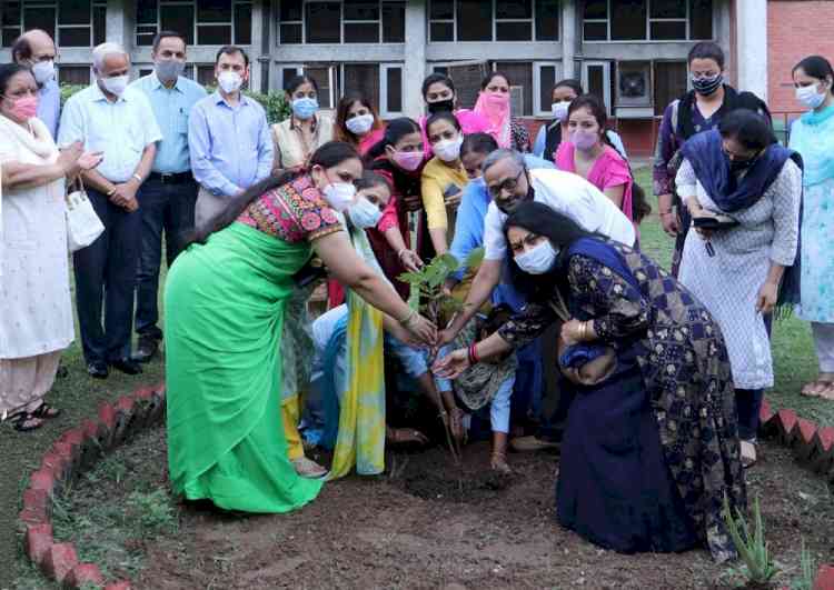 Saplings planted in GH 6 and 7, PU