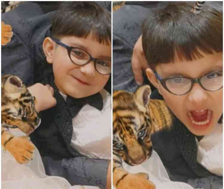 Virtual celebration on International Tiger Day for Nursery to Prep II 