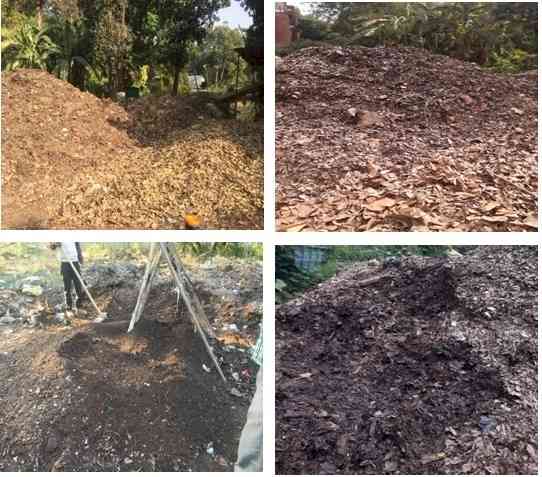 Microbiology, PU converts horticulture waste into organic manure