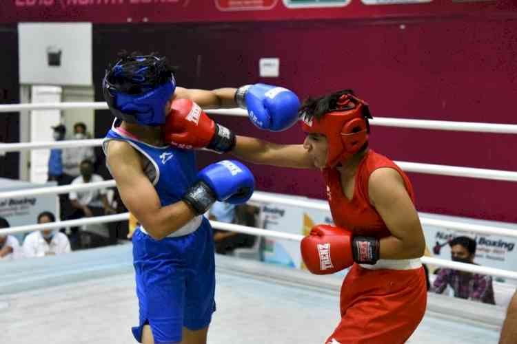 Jr Boxing Championships: Haryana girls clinch 10 gold medals