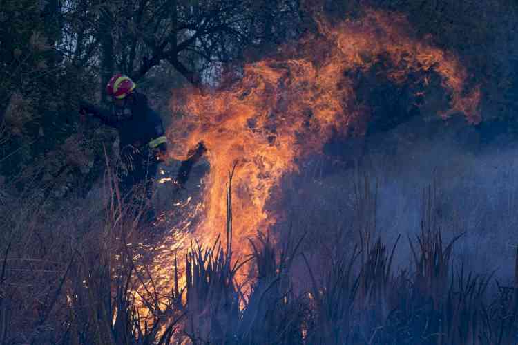 Wildfire in Greece injures 16 people