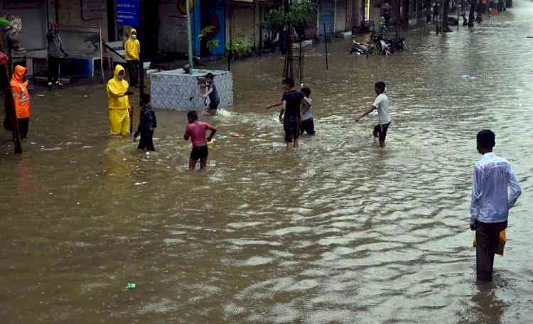 Flood relief: Maha approves Rs 11,500 cr aid package