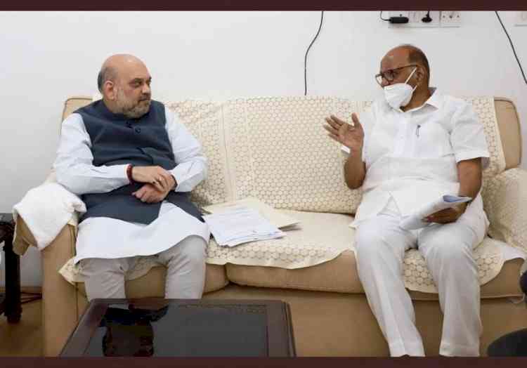 'Official work': Pawar says amid speculation over meeting with Shah