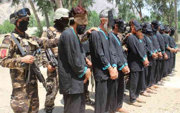 50 Taliban militants surrender in N.Afghanistan: Official