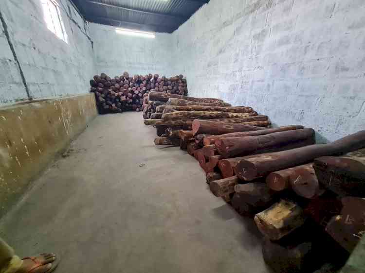 Red sanders worth Rs 4.5 Cr seized, 2 held in K'taka