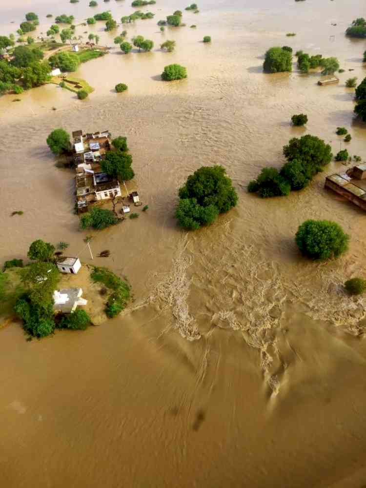 Sheopur Collector removed after MP flood situation worsens