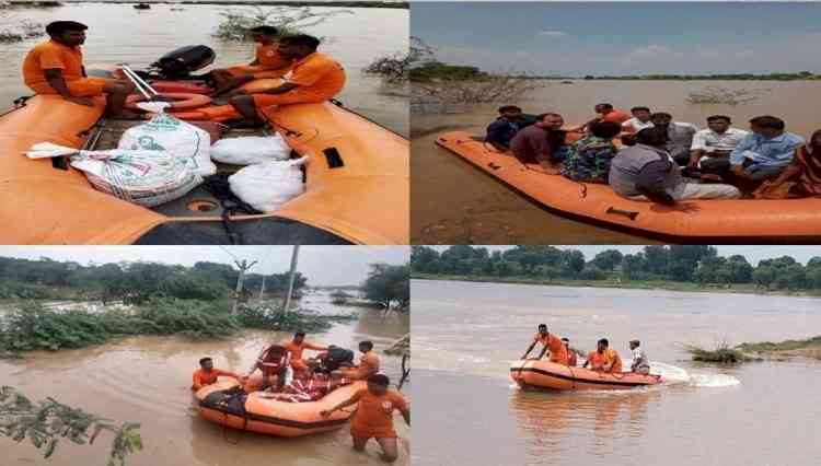 Rajasthan: SDRF rescues 161 people from flood affected districts