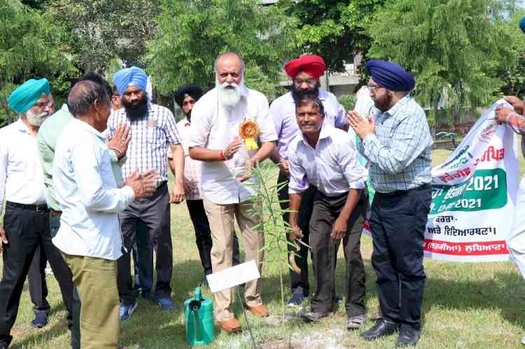 Saplings planted on Van-Mahotsav in SRS Govt Polytechnic College, girls Ludhiana to commemorate 75th years of Independence