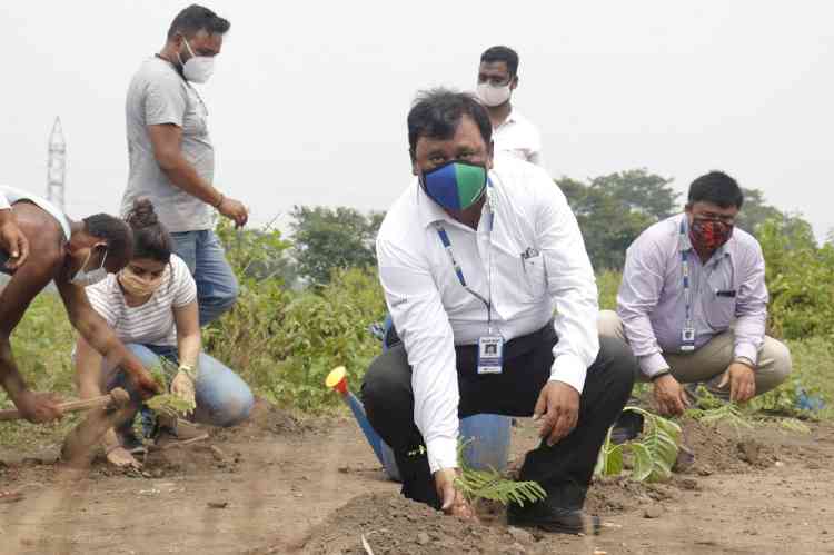 Blue Dart plants over 1,00,000 trees for Elephants in Dalma Wildlife Sanctuary in Jharkhand on World Elephant Day