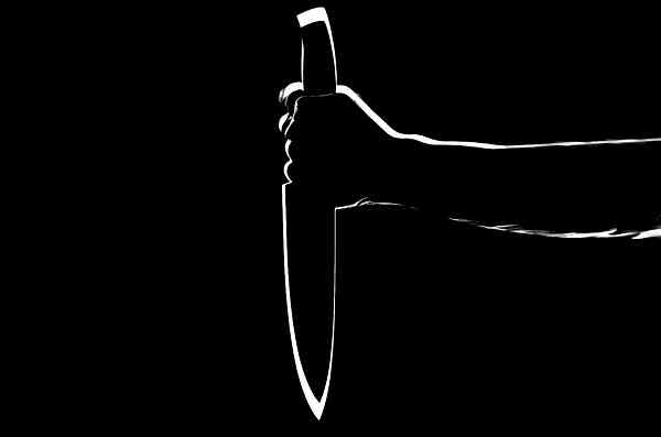 Andhra girl student stabbed to death on street