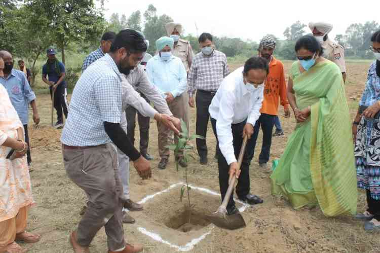 DC underscores need for plantation drives to enhance green cover in Ludhiana