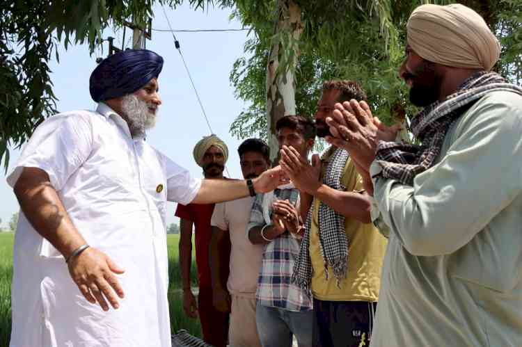 SAD alone had stood up against centre by voting against three black laws in parliament: Sukhbir Badal